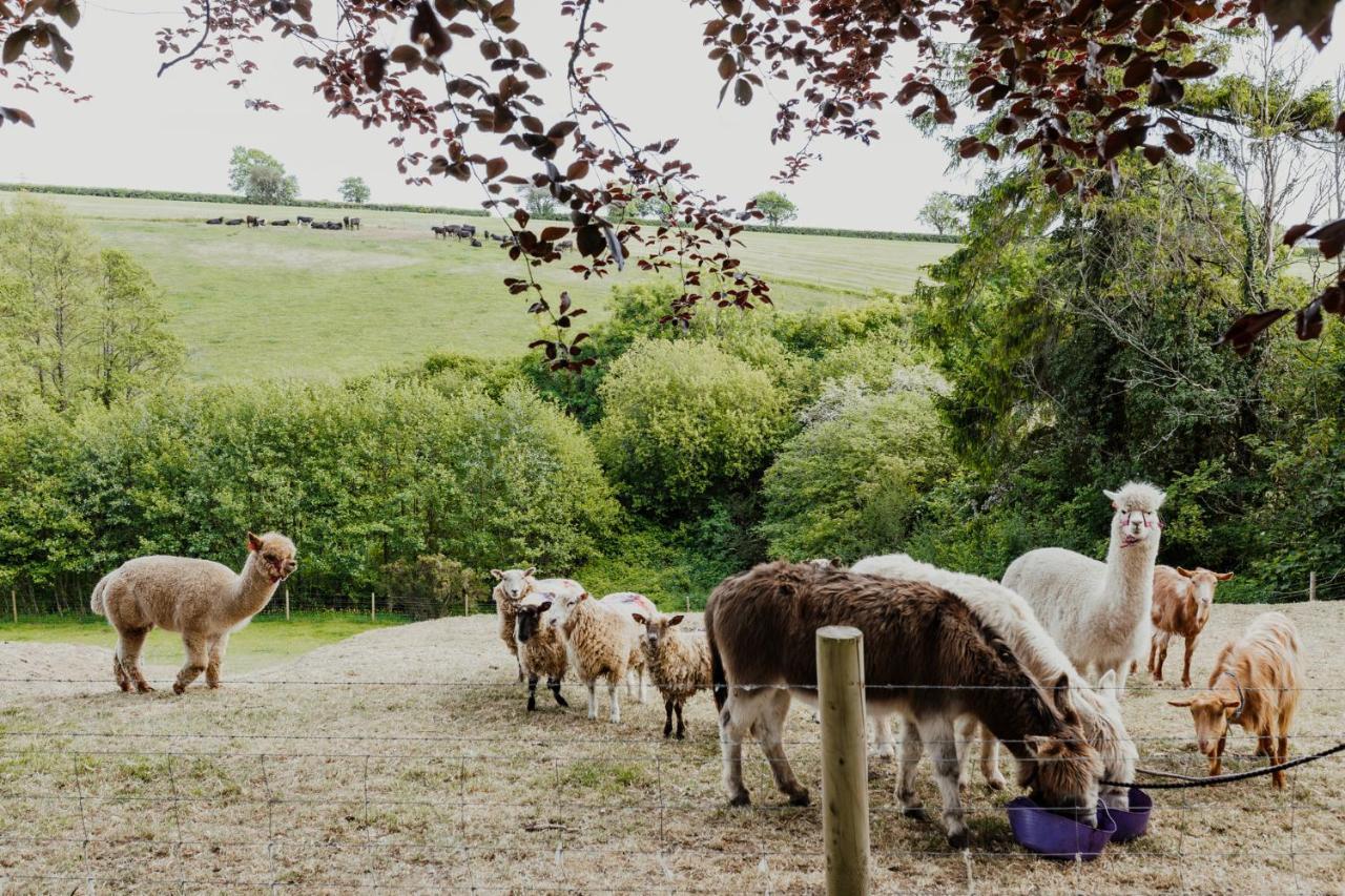 Smeaton Farm Luxury B&B St Mellion Bagian luar foto